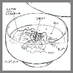 2024年1月25日ままごとや