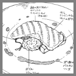 2024年1月7日エール新町