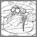 2024年10月4日ビストロ新