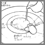 2025年6月6日アコルドゥの料理スケッチ