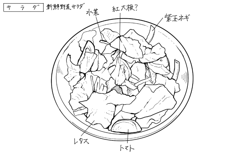 新鮮野菜サラダのスケッチ
