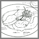 2026年10月13日ルミディひらまつの料理スケッチ